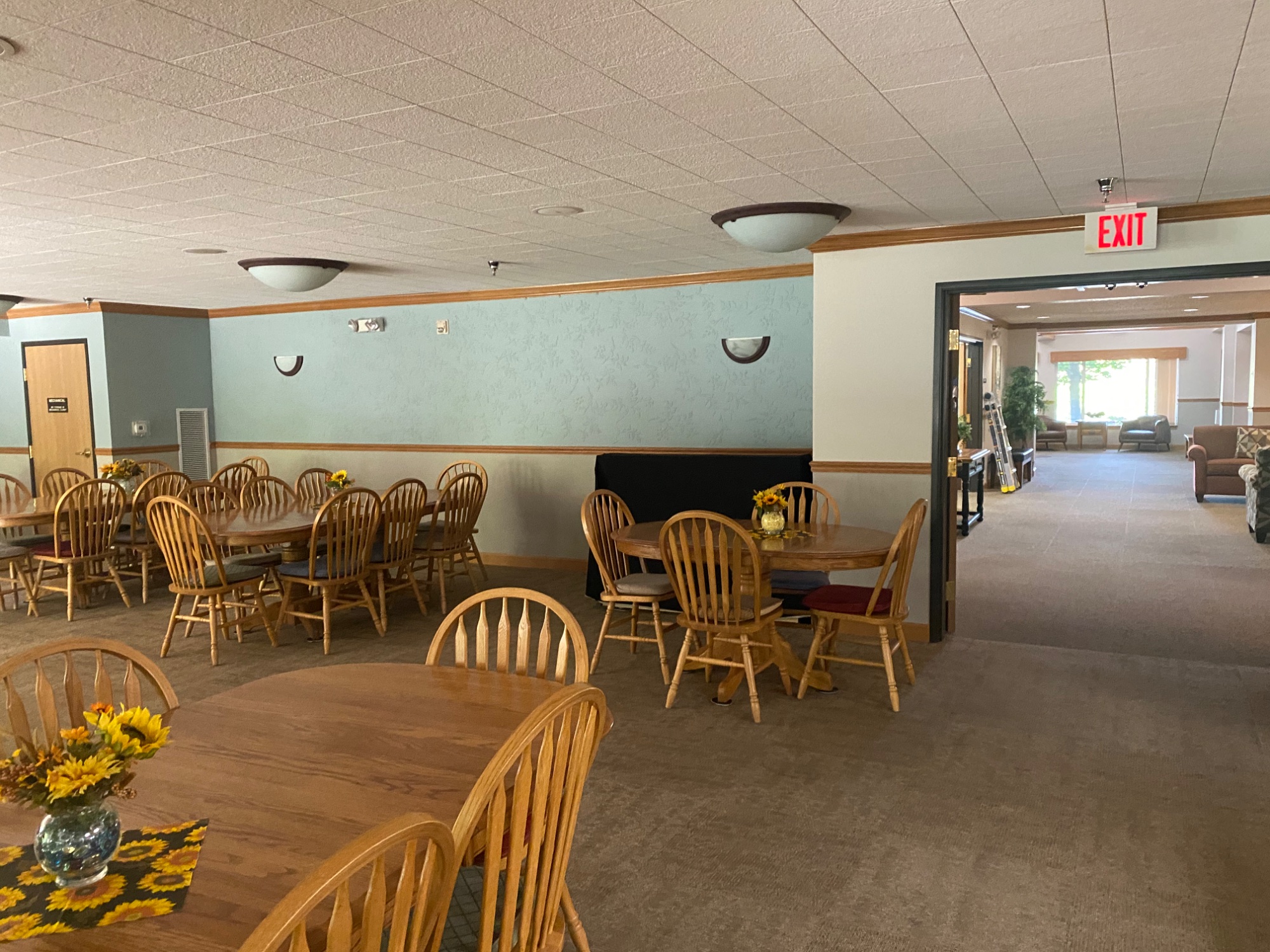 Commercial dining area